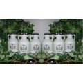 6 Pack case of Maple Syrup pint in decantor