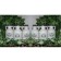 6 Pack case of Maple Syrup pint in decantor